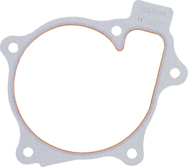 Motor Wasserpumpendichtung R533334