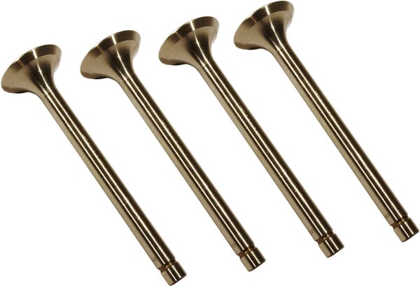 Motor Auslassventil VPA1450