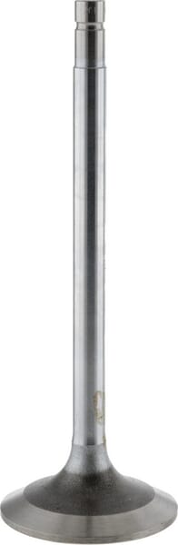 Motor Einlassventil R97491