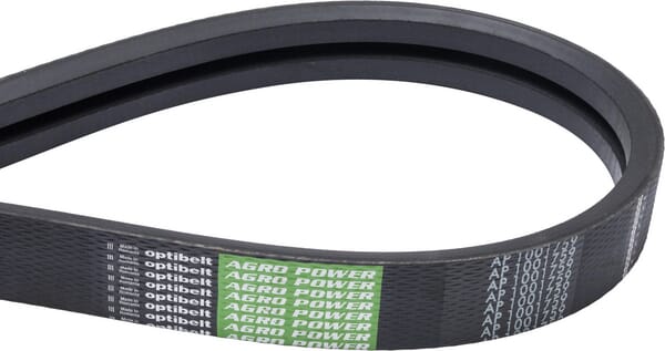 AP1001759 Antriebsriemen