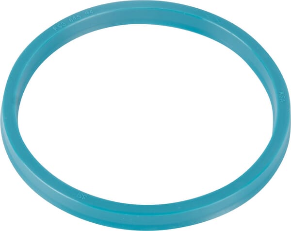 Hubwerk Kolbenabdichtung 00019727