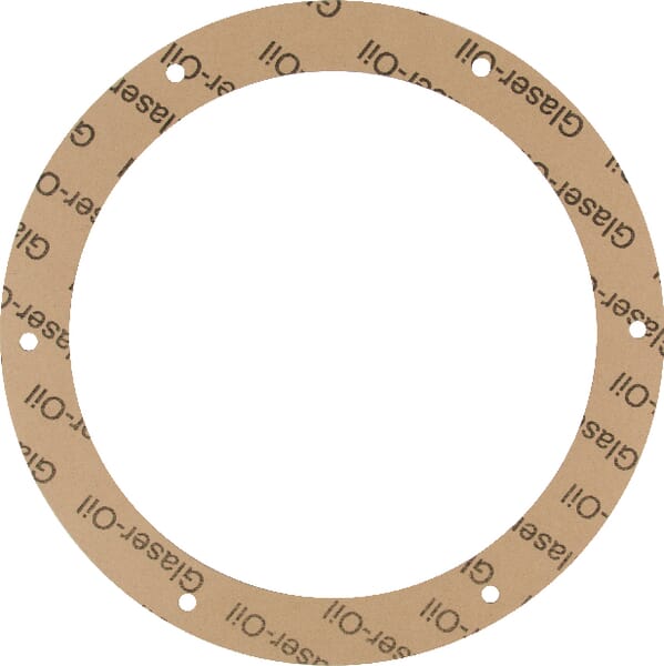 Z52531 Dichtungsscheibe