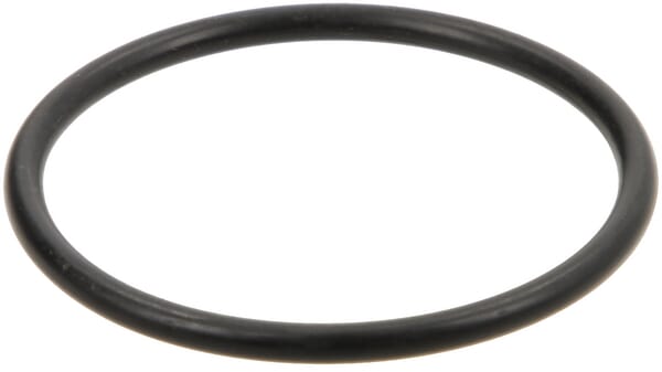 Motor O-Ring R217636