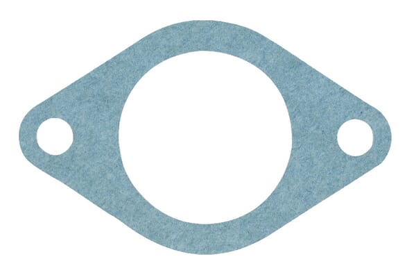 Motor Dichtung T20215