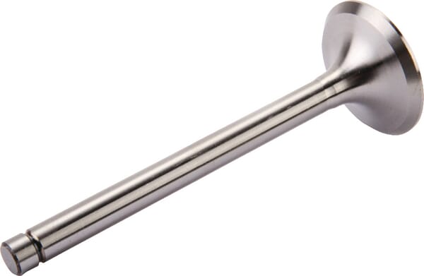 Motor Einlassventil Zetor 69010555