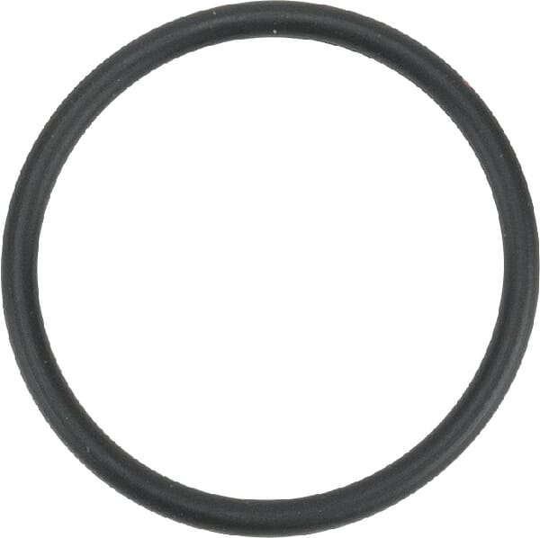 Motor Dichtung Kraftst.förderpum. R123273