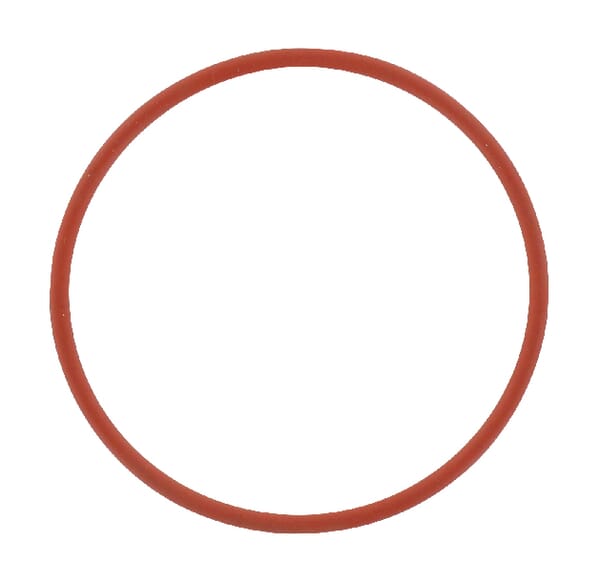 Motor O-Ring R501459