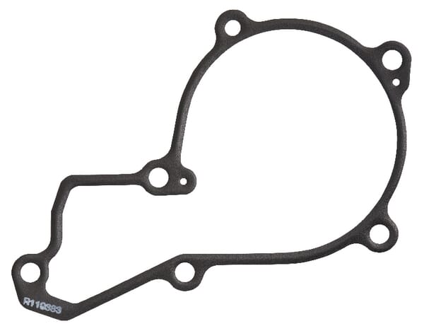 Motor Dichtung R119383