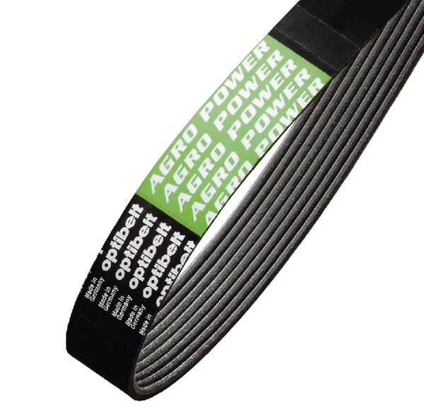 AP1002646 Rippenriemen