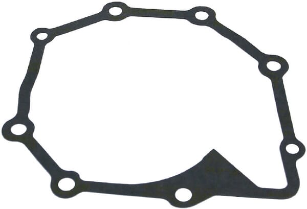 Motor Dichtung, Wasserpumpe VPE2619