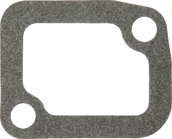 Motor Thermostatdichtung R54641