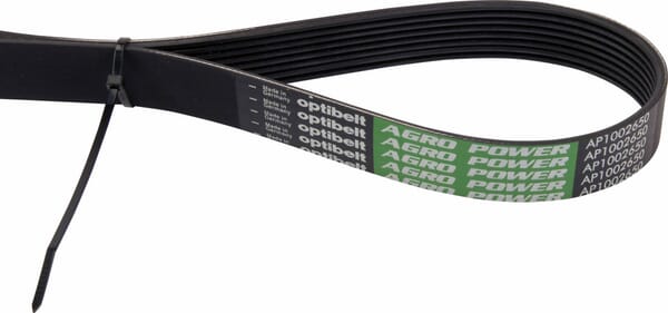 AP1002651 Rippenriemen