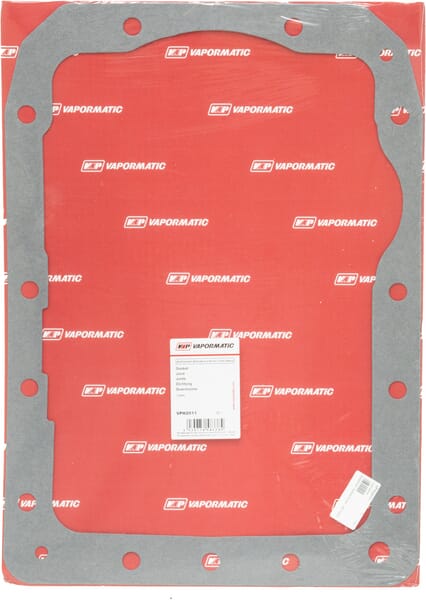 Hinterachse Dichtung VPH2011