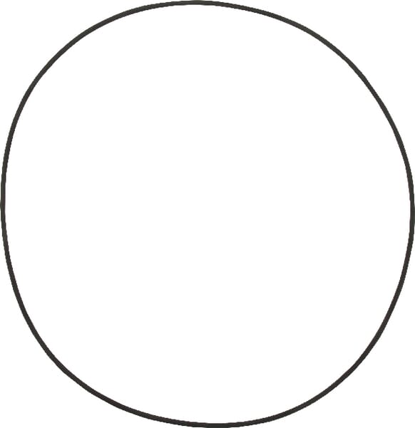 Allradvorderachse ungefedert O-Ring 001051037