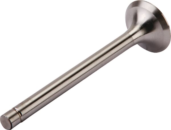 Motor Auslassventil Zetor 69010554