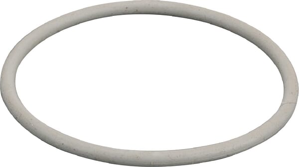 Motor Thermostatdichtung R97877