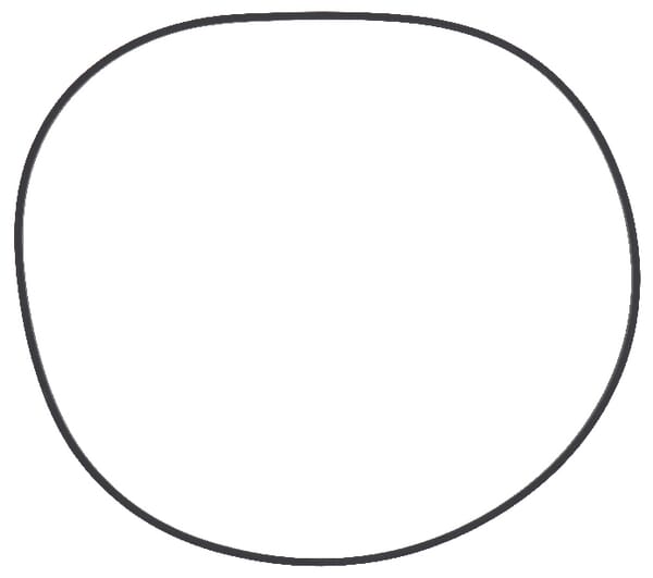 Bremsenteile Radialdichtring R122850