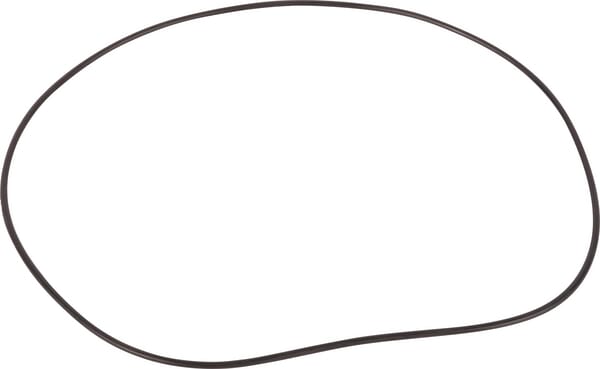 L56244 O-Ring