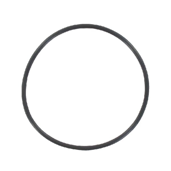 Filterung O-Ring M801034