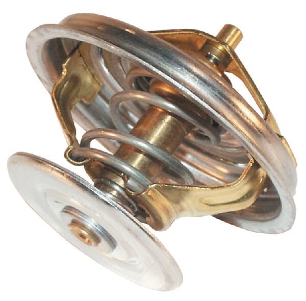 Motor Thermostat 70011316W