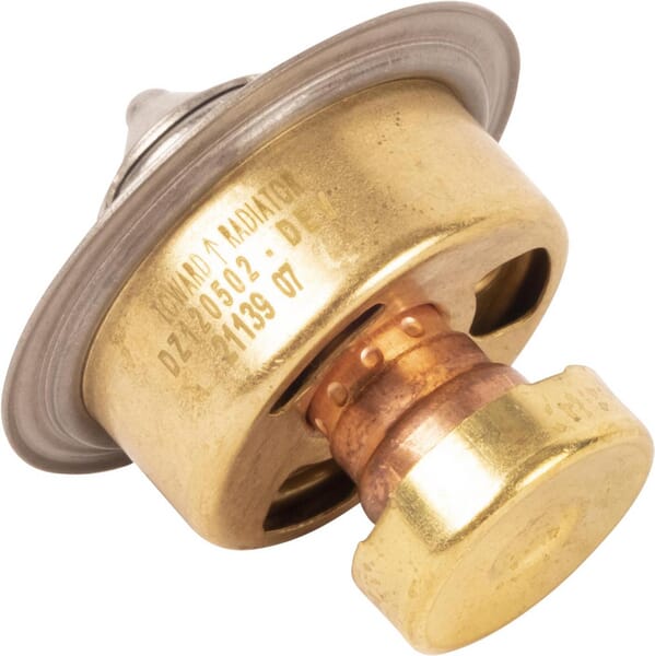 Motor Thermostat DZ120502