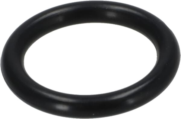 Motor O-Ring R83630