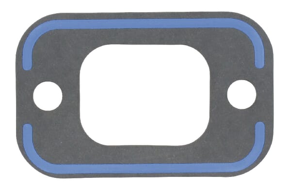 Motor Öleinfüllstutzendichtung R136495