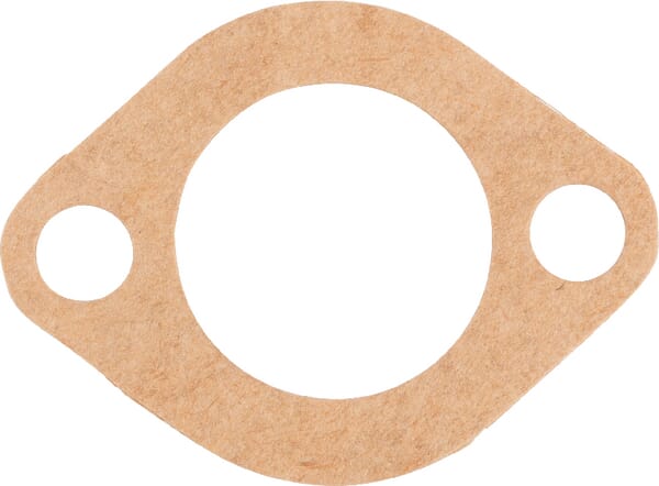 Motor Dichtung T20219