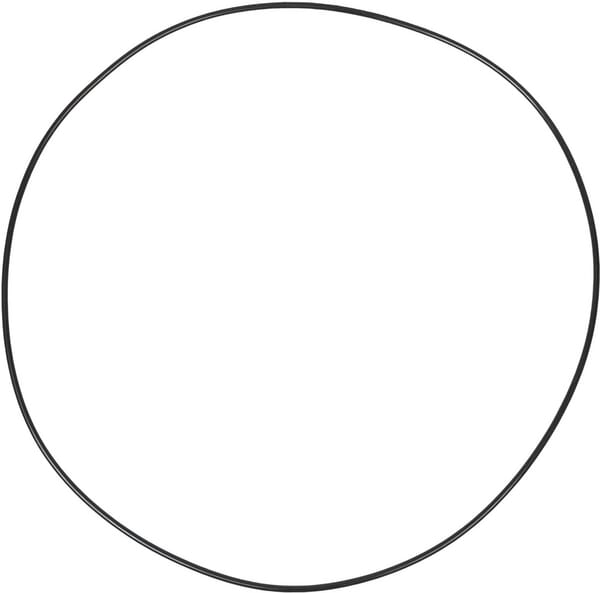 Vorderachse 4WD, Dana O-Ring 001051119