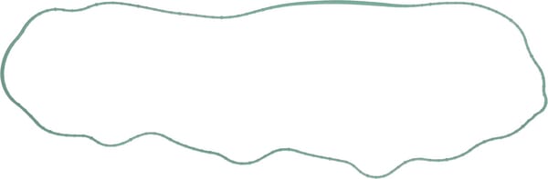 Motor Dichtung R524498