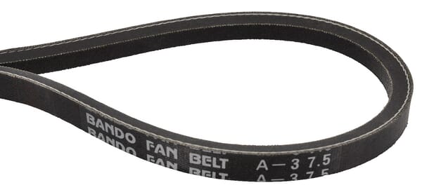 Motor Keilriemen M805441