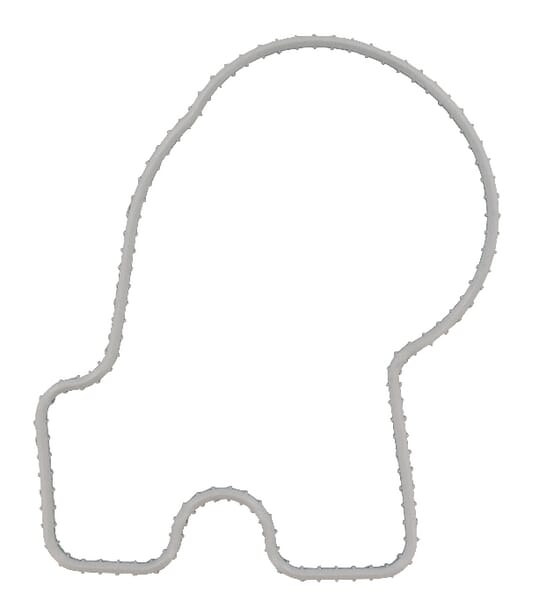 Motor Dichtung R501227