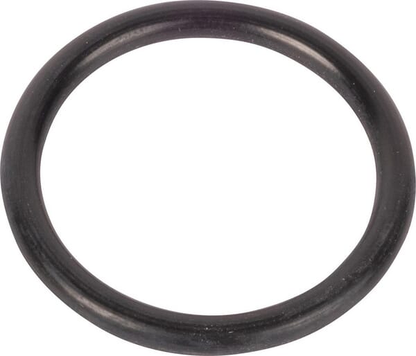 Motor O-Ring R56461