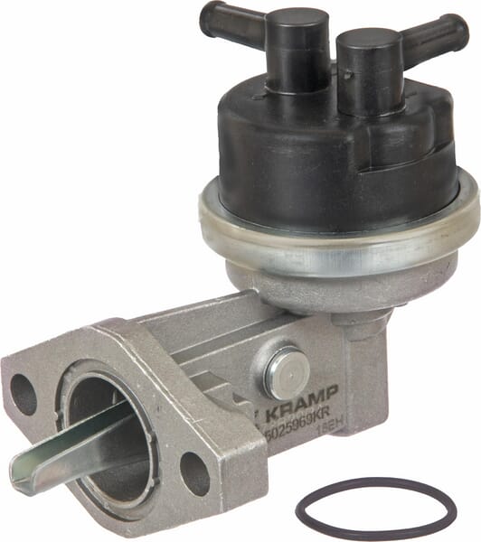 6005025966KR Kraftstoffförderpumpe