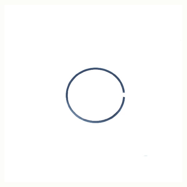 Kupplung Piston Ring L34060