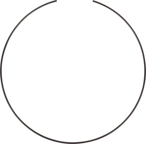 Kupplung Ring CI117107