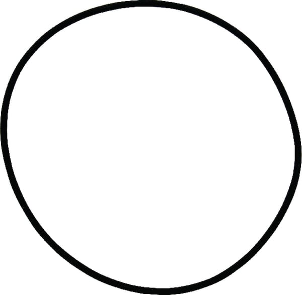 Vorderachse Dana 733/104 O-Ring 1120700801